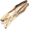 Two dried rabbit ears with fur, presented on a white background. Podgląd zdjęcia produktu