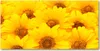 Tulup® Leinwandbild - 140x70 cm - Wandkunst - Drucke auf Produktbild-Vorschau 1