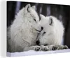 MuchoWow® - Leinwandbilder - Wölfe - Schnee - Familie, Produktbild-Vorschau 1