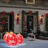 Luci di Natale per esterni con batterie - gingillo gigante Anteprima dell’immagine prodotto 2