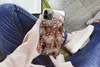 MuchoWow® Handyhülle Schutzhülle Hülle für iPhone 13 Pro Produktbild-Vorschau 3
