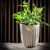 KADAX Blumentopf aus Kunststoff "Costa", mit Produktbild-Vorschau 3