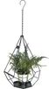 DanDiBo Blumenampel Innen Metall Wand Hängepflanzen 82 cm Produktbild-Vorschau 1