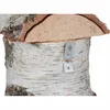Siena Garden Nistkasten Birke 32mm M90828 Produktbild-Vorschau 4