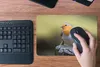 MuchoWow® Mauspad Mousepad Pfahl - Rotkehlchen - Natur Produktbild-Vorschau 4