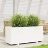 Pflanzkübel Weiß 110x40x49,5 cm Massivholz Kiefer Produktbild-Vorschau 3