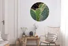 MuchoWow® Rundes Wandbild - Runde Bilder Botanischer Kaktus Produktbild-Vorschau 4