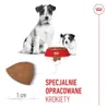 Royal Canin SHN Mini Starter M&B 4kg Produktbild-Vorschau 6
