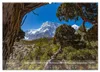 NEPAL - rund um die Annapurna (Wandkalender 2027 DIN A2 Produktbild-Vorschau 6
