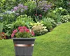 Bellissa Schneckenband 500 x 3 cm Produktbild-Vorschau 2