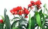 Oleander Rot 120 cm wie echt künstlich Kunstbaum Produktbild-Vorschau 3