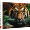 Trefl Puzzle 1000 el. Dziki tygrys, 1000 szt., Animals Podgląd zdjęcia produktu 4