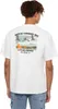 Dickies Herren T-Shirt DICKIES COMPANION T, Größe:M, Produktbild-Vorschau 2