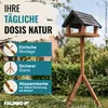 FALINKO Premium Vogelfutterhaus mit Ständer aus Holz – - & Produktbild-Vorschau 2
