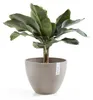 Pot de fleurs Ecopots Antwerp 50 - L 49,3 cm x H 37 cm - Voir les images du produit 2