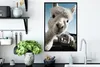 MuchoWow® MuchoWow® Gerahmtes Poster Alpaka - Weiß - Tier Produktbild-Vorschau 3