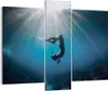Bild auf Leinwand - Leinwandbild - 3 Teile - Flossen Boden Produktbild-Vorschau 1