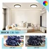 A modern living room with a sofa, coffee table, and ceiling lights, with close-up images of grapes below. Náhľad obrázku produktu
