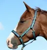 Bucas Nylonhalfter Dublin Halfter Brown/ Brown Full Produktbild-Vorschau 10