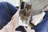 MuchoWow® Handyhülle Schutzhülle Hülle für Samsung Galaxy Produktbild-Vorschau 3