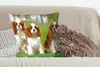 MuchoWow® Zierkissen Sofakissen Wohnzimmer Dekokissen 60x60 Produktbild-Vorschau 4