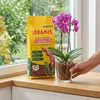 Seramis Spezial-Substrat für Orchideen 7 l mit Tongranulat Produktbild-Vorschau 9