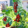 500 Pflanzenstützclips, Gartenblumen- und Weinrankenclips, Produktbild-Vorschau 6