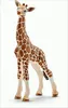 Baby giraffa Anteprima dell’immagine prodotto 9