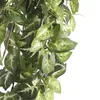 Mica Decorations Fittonia hängende Kunstpflanze - H80 cm - Produktbild-Vorschau 3