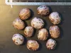 Gummiboom (Hevea brasiliensis) - 2 stuks Productafbeelding-voorbeeld 4