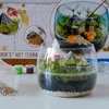 Clementoni Clementoni Harry Potter - Terrarium 19248 Voir les images du produit 6