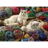Cobble Hill Ragdolls, 1000 szt. Podgląd zdjęcia produktu 1