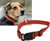 ChiliTec 22658 Hunde-Halsband leuchtend mit LED 52-60cm, Produktbild-Vorschau 1