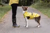 TRIXIE Regenmantel Vimy für Hunde - gelb - 630L x 5H x 245B Produktbild-Vorschau 7