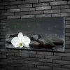 Tulup® Glas-Bild - 100x50 -Wandkunst - Wandbild hinter Produktbild-Vorschau 2