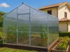 Polycarbonat Gewächshaus „Victoria“ 3x8m aus Stahl, mit 6mm Produktbild-Vorschau 2