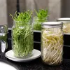 Seed Sprouting Kit, Sprouting Mason Jar mit Edelstahl-Sieb Produktbild-Vorschau 4