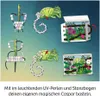 Die Schule der magischen Tiere - Caspar mit magischen Produktbild-Vorschau 5