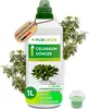 A bottle of fertilizer for jade plants, surrounded by jade plant branches. Produktbild-Vorschau