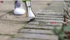 Herzberg HG-6007: sgrassatore termico elettrico a filo, Anteprima dell’immagine prodotto 17