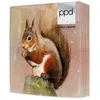20 Servietten Judy - Eichhörnchen mit Sterne 33x33cm Produktbild-Vorschau 2