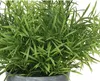 Kaemingk 001116032 Produktbild-Vorschau 4