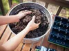 Saat-Erde 5 l - Hochwertig - Nährstoffreich - Für Garten Produktbild-Vorschau 10