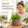 Pflanztopf Fiona Taupe Ø 25cm - Frostsicher & UV-Beständig Produktbild-Vorschau 4