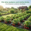15er Set Erdbeerstützen aus Kunststoff – abnehmbares Produktbild-Vorschau 6