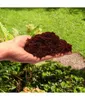 Włókno kokosowe Coco Peat 0-10mm 5l - Biovita Podgląd zdjęcia produktu 5