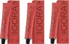 Schwarzkopf Igora Royal, Schwarz, 1-0, Frauen, 60 ml, Aqua, Produktbild-Vorschau 6