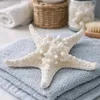 Deko Seestern weiß 10–15 cm – Echter Noppen Seestern Produktbild-Vorschau 2