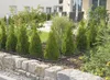 Gardena Verteil Rohr 15Mtr      1350 Produktbild-Vorschau 5