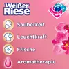 Weißer Riese Color Trio-Caps A-Th. Orchidee & Macadamiaöl, Produktbild-Vorschau 3